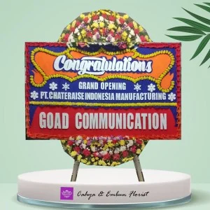 Bunga Papan Congrats #142940
