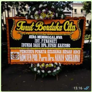 CDE - BP 071 - Bunga Papan